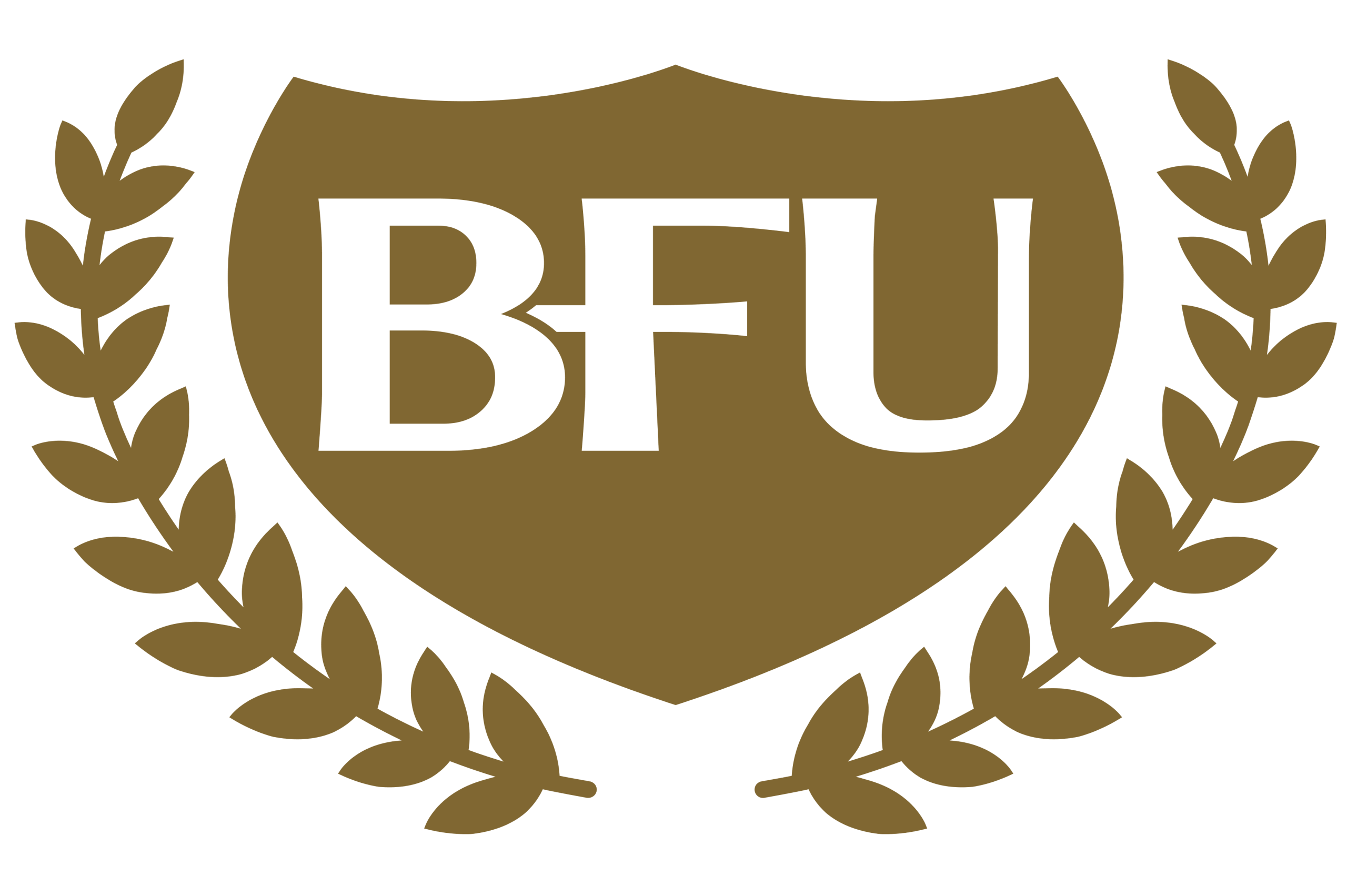 Bakgwadiba Financial Services